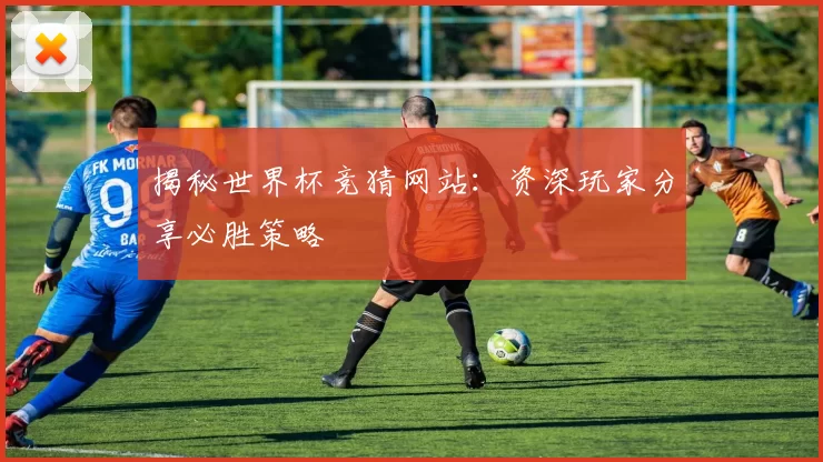揭秘世界杯竞猜网站:资深玩家分享必胜策略