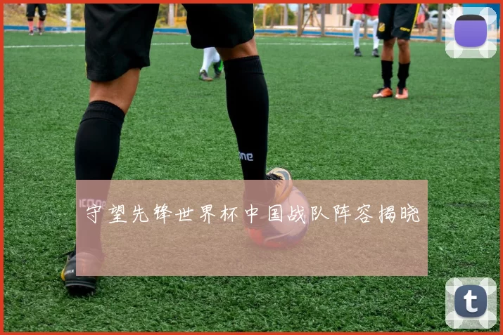 守望先锋世界杯中国战队阵容揭晓
