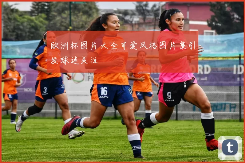 欧洲杯图片大全可爱风格图片集引发球迷关注