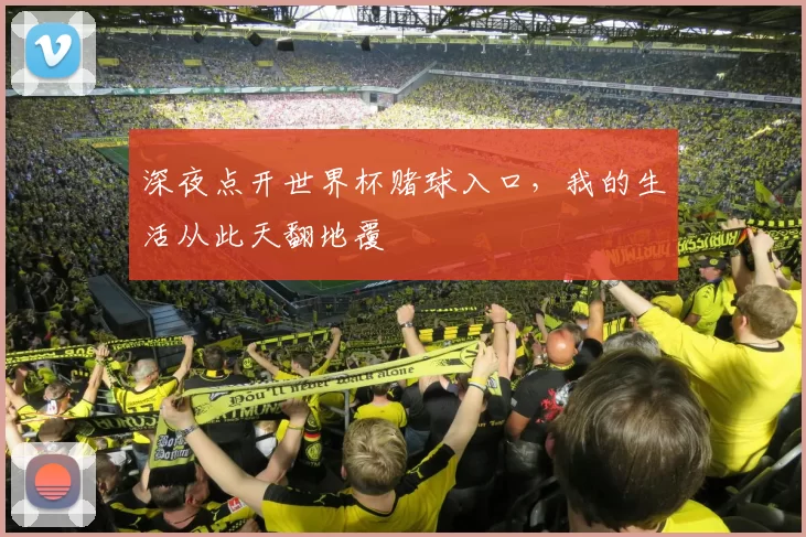 深夜点开世界杯赌球入口,我的生活从此天翻地覆