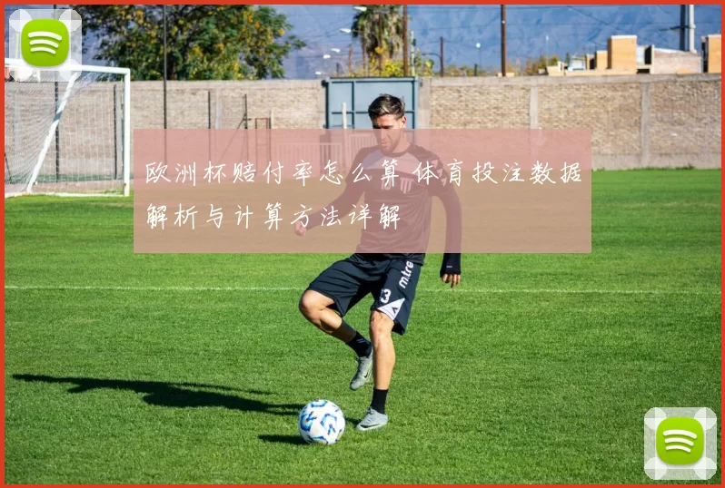 欧洲杯赔付率怎么算 体育投注数据解析与计算方法详解