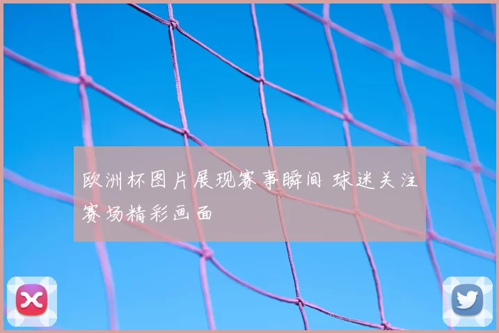 欧洲杯图片展现赛事瞬间 球迷关注赛场精彩画面