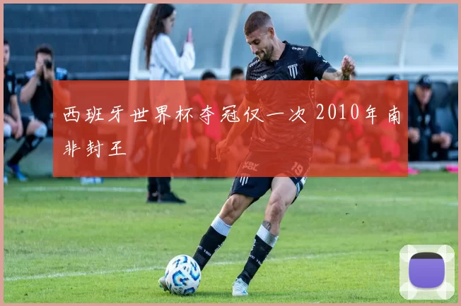 西班牙世界杯夺冠仅一次 2010年南非封王
