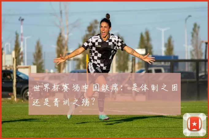 世界杯赛场中国缺席:是体制之困还是青训之殇?