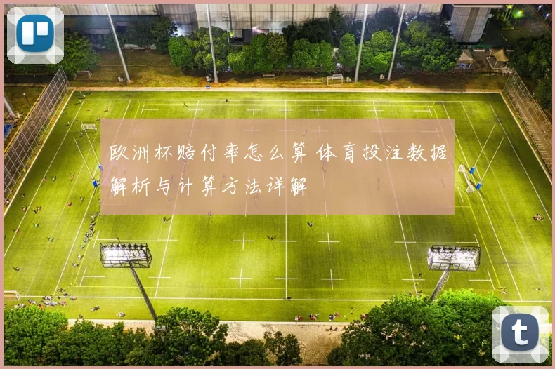 欧洲杯赔付率怎么算 体育投注数据解析与计算方法详解