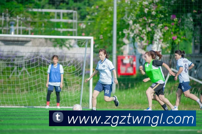 华体会平台生态图